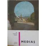 MEDIAS-MIHAI MURGU-252442
