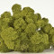 Licheni stabilizati, Medium Green &ndash; 250g