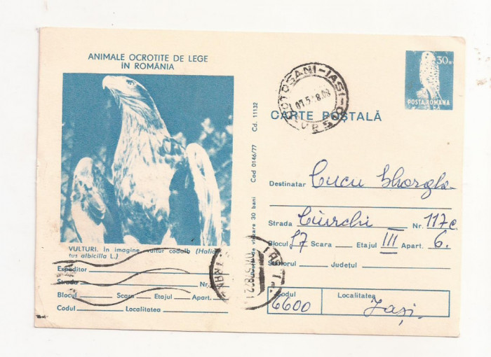RF28 -Carte Postala- Animale ocrotite de lege, Vulturul, circulata 1978