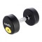 Gantera cauciucata cu greutate fixa HMS HG PRO 9kg FitLine Training