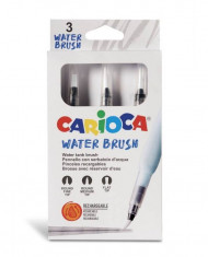 Pensula cu Rezervor pentru Apa cu Varfuri de Latimi Diferite Carioca 3 Bucati/Set foto