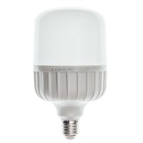 Bec LED Lohuis tubular T100 E27 30W 2950lm lumina rece 6500 K