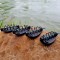 Momitor FeederX Method Feeder Wild Carp 60g