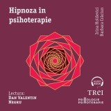 Cumpara ieftin Hipnoza &icirc;n psihoterapie - Audiobook - Irina Holdevici