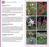 Determinator de plante și animale | Wilhelm Eisenreich, Alfred Handel, Ute E. Zimmer