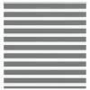 VidaXL Jaluzea tip zebra gri &icirc;nchis lățime țesătură 135,9 cm poliester