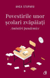 Povestirile unor școlari zvăpăiați - Paperback brosat - Anca Stuparu - Curtea Veche