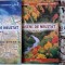 Caraseni de neuitat (3 volume) &ndash; Petru P. Ciurea, Constantin C. Falca