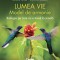 Lumea vie. Model de armonie. Biologia pe care nu o inveti la scoala - Silvia Olteanu, Florina Miricel, Iuliana Tanur, Stefania Giersch