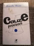 Romulus Rusan - Cauze provizorii