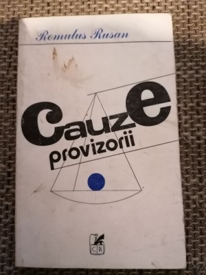 Romulus Rusan - Cauze provizorii foto