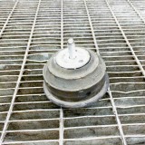 Suport Motor Dreapta BMW Seria 3 E46 Cabrio (2000-2007) OEM 2228298, Febi Bilstein/SRP