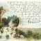 AMS* - CP BERLIN CIRCULATA LITOGRAFIE 1902
