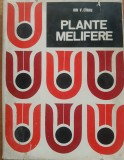 PLANTE MELIFERE ION V. CIRNU