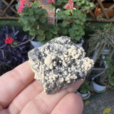 Floare de mina pentru colectie unicat - c176 lot 1, Stonemania Bijou