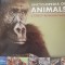 Encyclopedia of animals A family reference guide