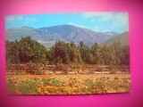 HOPCT 8274 PLANTATIE DE PORTOCALI -CALIFORNIA -SUA-AMERICA DE NORD -NECIRCULATA-, Printata