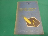 CULTURA GR&Acirc;ULUI DE TOAMNĂ / 1961 * 2 2 4
