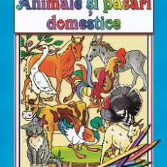 Sa invatam... Animale si pasari domestice. Carte de colorat - Dana Popescu