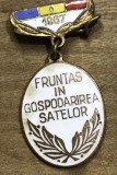 (H) [Rară RSR] Insignă cu Baretă Fruntaș &icirc;n Gospodărirea Satelor - 1967
