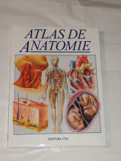 TREVOR WESTON - ATLAS DE ANATOMIE foto