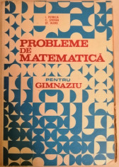 I. Petrica - Probleme de matematica pentru gimnaziu, 1985 foto