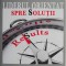 Liderul orientat spre solutii. Ghid complet pentru cei care doresc sa exceleze &ndash; Rick Goodman