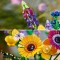 Buchet de flori de camp - 9