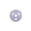 Greutate otel inSPORTline Hamerton 2.5 kg,