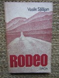 Vasile Salajan - Rodeo