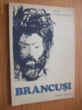 BRANCUSI - Nina Stanculescu - Editura Albatros, 1981, 164 p., Alta editura