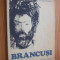 BRANCUSI - Nina Stanculescu - Editura Albatros, 1981, 164 p.