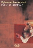 Verbele auxiliare ale inimii. Introducere in beletristica (ebook)