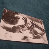 Cumpara ieftin CARTE POSTALA FELICITARE CIRCULATA