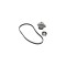 Set pompa apa + curea dintata FIAT SEICENTO 600 187 DAYCO KTBWP1840