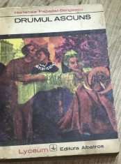 LITR9 0442 Literatura - Hortensia Papadat- Bengescu - Drumul Ascuns