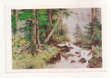 FA76 - Carte Postala - COREEA DE NORD - Korean Painting, Sobaek-su in the Morning, necirculata, Fotografie