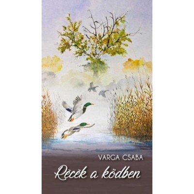 R&amp;eacute;c&amp;eacute;k a k&amp;ouml;dben - Varga Csaba foto