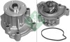 INA 538 0098 10 Pompă de apă, răcire motor