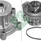 INA 538 0098 10 Pompă de apă, răcire motor