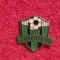 Insigna fotbal - ASK&Ouml; Pasching - FC SUPERFUND (Austria)