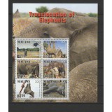 MALAWI 2018 TRANSPORTUL ELEFANTILOR