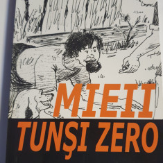 Mieii tunsi zero, Teodor Parapiru, 2007, 270 pagini