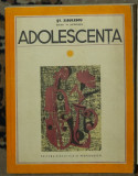 St. Zisulescu - Adolescenta