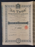 Actiune de petrol din 1919 soc. La Tega , titlu , actiuni , parte de fondator