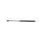 Amortizor portbagaj AUDI A4 Avant (8E5, B6) (2001 - 2004) RINGER 1510053018