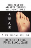 The Best of Master Tung&#039;s Acupuncture: A Clinical Guide