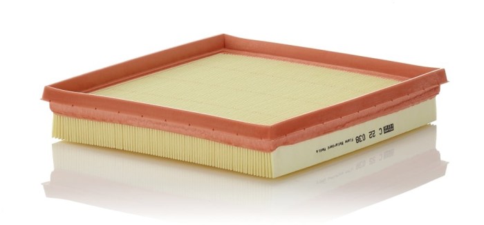 Filtru aer Mann-Filter C22038