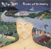 Billy Joel River Of Dreams remaster cd), Country