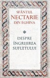 Despre ingrijirea sufletului - Sfantul Nectarie din Eghina